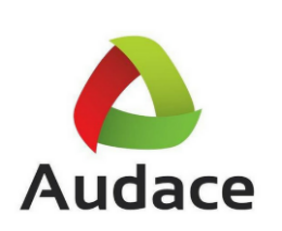 Grupo Audace